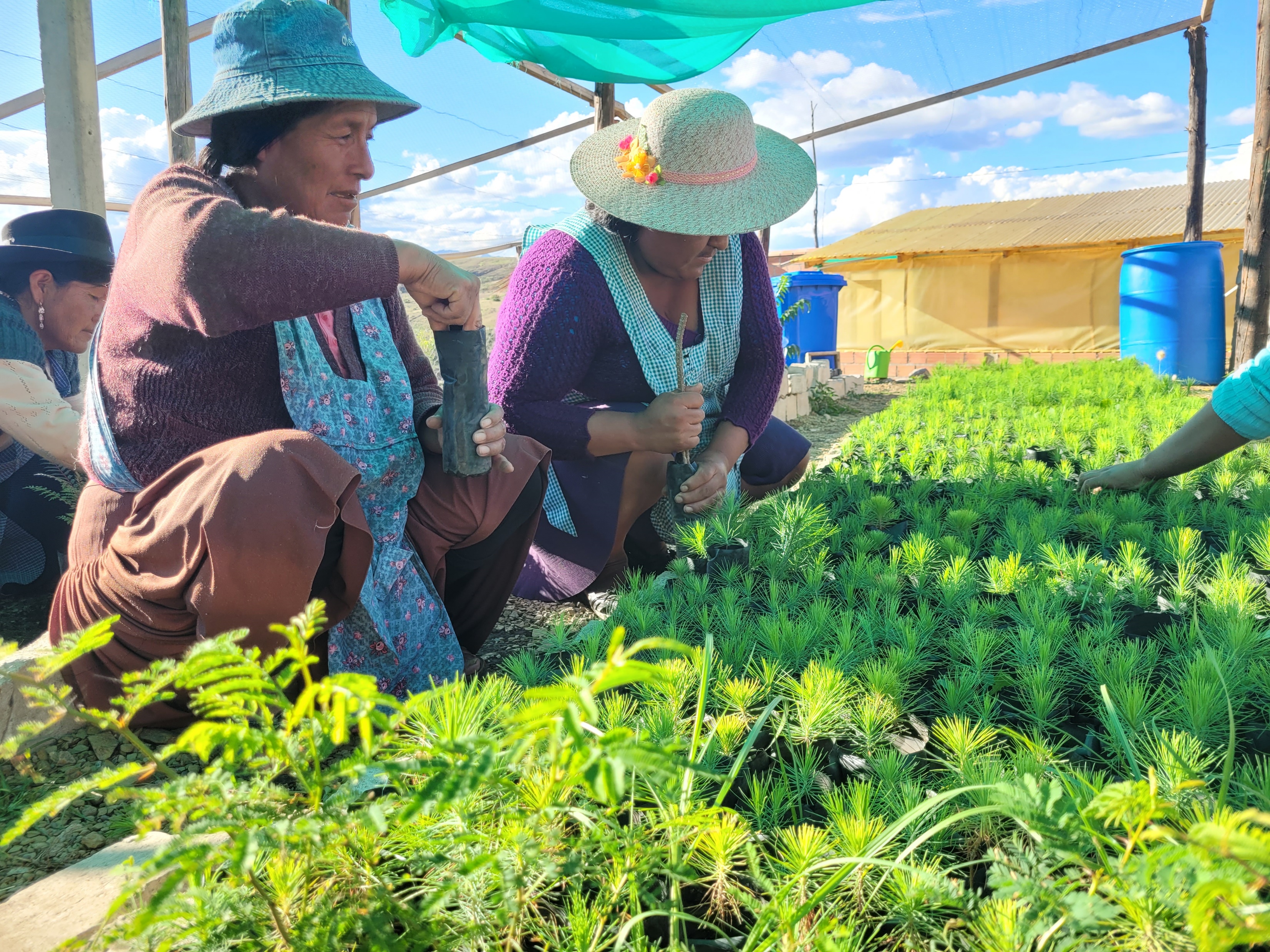 Espacios PAPI benefician a 300 niños en primera infancia